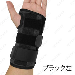 T|[^[ (#z34) { XgK[h ewT|[^[ F≊ Œ t[TCY P ʋC ֐߉ ֐ߒ X|[c ؃g