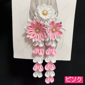  l (h23a)  ܂ݍ׍H wAANZT[ U     ԉ ܎O a Ǝ  l  a wAAW