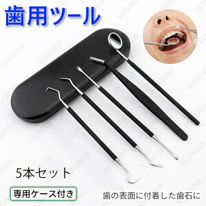 br14# 歯石取り器具 5本セット 日本国内当日発送 デンタルケア 自宅用 デンタルツール 歯間 ヤニ 歯垢取り セルフケア 口臭予防 しこう取り ステンレス製