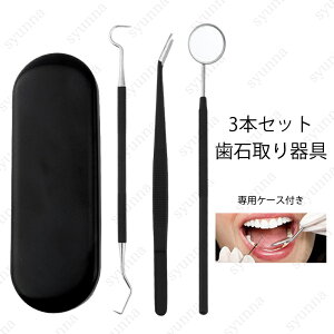 br16# 歯石取り器具 日本国内当日発送 3本セット デンタルツール 自宅用 歯間 ヤニ 歯垢取り ステンレス製 口臭予防 歯石取り スケーラー 歯石取り