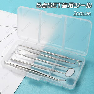 br32#歯用ツール 国内発送 5点セット 2type デンタルケア セット 歯石取り 男女兼用 口臭予防 歯石取り 器具 口内ケア 歯垢取り しこうとり 歯間