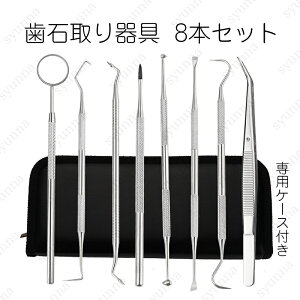 br75# Ύ { 8{Zbg ΍ f^PA c[ XeX C XP[[ L \h ΂Ŏ pc[