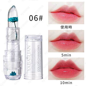 bvOX (#cs353) {  6color g ێ t[ eBg bv ɂ  킢 PHbv ϕi bveBg