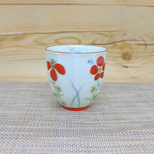 ہiݒqj Lc g Ԗʎ擒ہi/j ԕ vwہbaH  OKH