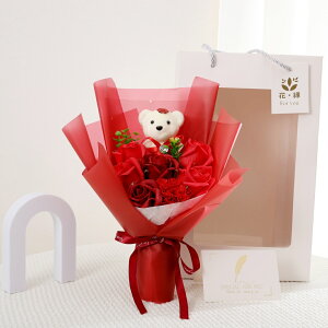 ԑ \[vt[X^fBO u[P v[g \ v[g Ǝ ԑ 搶 w  j ij 킢 ԑ Mtg  u[P ʂ a LO e  