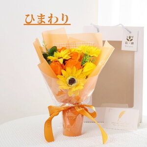 ԑ \[vt[ a \ Ǝ ԑ 搶 v[g Mtg Ђ܂  ԃ\[v t[ LEDCgt a ij  w AE z j ̂Ԃ ΂
