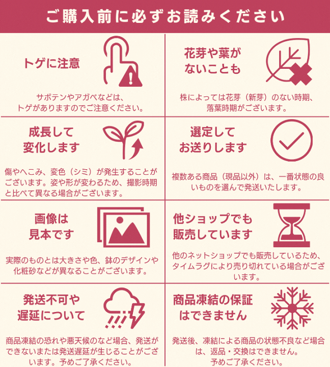 楽天市場】サボテン 新天地錦 3.5号 プラ鉢 観葉植物 さぼてん 楽天市場】サボテン 新天地錦 3.5号 プラ鉢 観葉植物 さぼてん