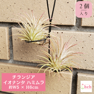 GA[vc CIi^ n~ 2`WA ݂艺   Mtg v[g Ǌ|  CeA  ϗt  A  rU[ JX a Vz LO