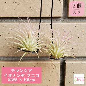 `WA CIi^ tGS 2 GA[vc ݂艺   Mtg v[g Ǌ|  CeA  ϗt  A  rU[ JX a Vz LO