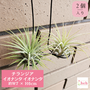 `WA CIi^ CIi^ 2 GA[vc ݂艺 CIi^   Mtg v[g Ǌ|  CeA  ϗt  A JX a Vz LO