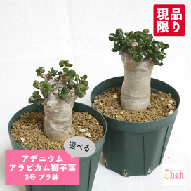 an-abm30_tmb.gif?fitin=272:272