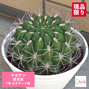 T{e VVn 7 ZA[g ڂĂ MmJLE  v[g ^ ϗt  A ĕ CeA   y    엿 Aւ  gQ ^ ^ 