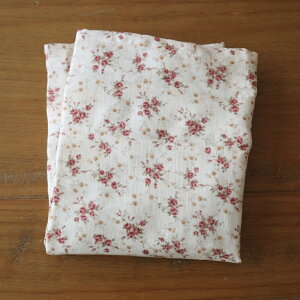 _[֑^uʂŌqvJCwɎguǂłJCvJC Mtg v[g  ₦ C dqW  ₦ bNX 