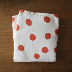 uʂŌqvJCwɎguǂłJCvJC Mtg v[g  ₦ C dqW  ₦ bNX ߂ Rbg Rf {