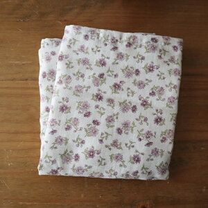 uʂŌqvJCwɎguǂłJCvJC Mtg v[g  ₦ C dqW  ₦ bNX ߂ Rbg Rf {