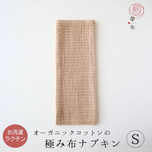 zivL ؕz I[KjbN ɂ kiwami STCY1 p Ȃ  { [KjbNRbg 􂦂 Vv ȒP  D v[ nJ` Vv T[tH