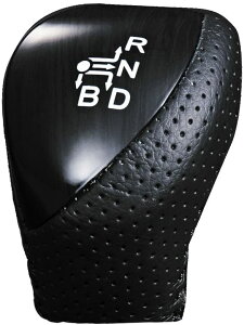 Vtgmu vEX 30 OEΉ  Rr Vtgmu PRIUS ZVW30 ؖ WP-SKT20-1