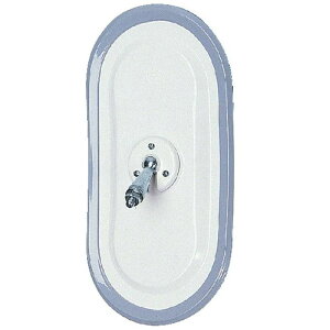 大東プレス工業サイドミラー/バックミラー D300 小判 L004 トラック用ミラー DI-43