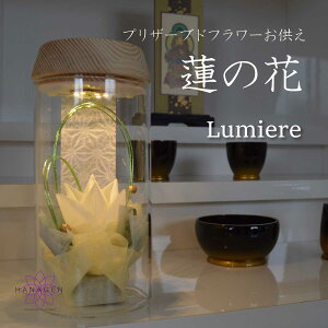  @ vU[uht[ @     vU[uht[ LEDCg d ̉ y@ Lumierez dp       vU