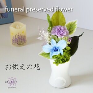 vU[uht[   ~j  dp vU[uht[  P[X  t[ ̉ ފ @ 49  1    r umemoriesvv