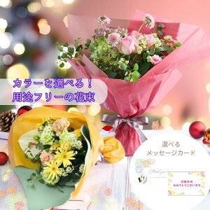 NX}Xԑ t[Mtg  Mtg v[g  n[tEh  킢 {[ 5000~ j a j LO LO ސEj JXj Nj