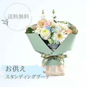 yN[ցz z t[Mtg G߂̉ X^fBOu[P  X^fBO u[P Mtg ybg @v   l\ ԑ @ O  ybg  