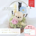 シマエナガ グッズ ドーム プリザーブドフラワー ドーム型 ギフト プレゼント そのまま飾れる 花 誕生日 枯れない花 …
