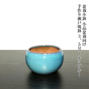 ~͔ ˏ ~͔ gRu[ ꌊL 葢 R쑐 ی^ 3.5fނ̗ǂ~͔yTCYz10.5cmE7cm