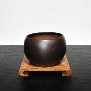 ~j~ V ȂĂ 3,5  2 J^A I חtԓV t }U̗ǂ f CeAO[ ×̉N~ V ~j S CeA A Mtg ~ 