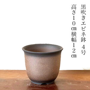 Y~͔ Grl 4fނ̗ǂ~j~͗p ꌊ󂫁yTCYz12cmE10cmy~ ~ ~j ɏ~ ~  aCeA~͔ _~ ~̓Mtg 