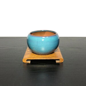 ~  5N N̗ǂ ܗt  ߂Ă̖~ f A Mtg aA ƂŊӏ ~j~  N JXj aj~   S j җ hV̓ ̓ v