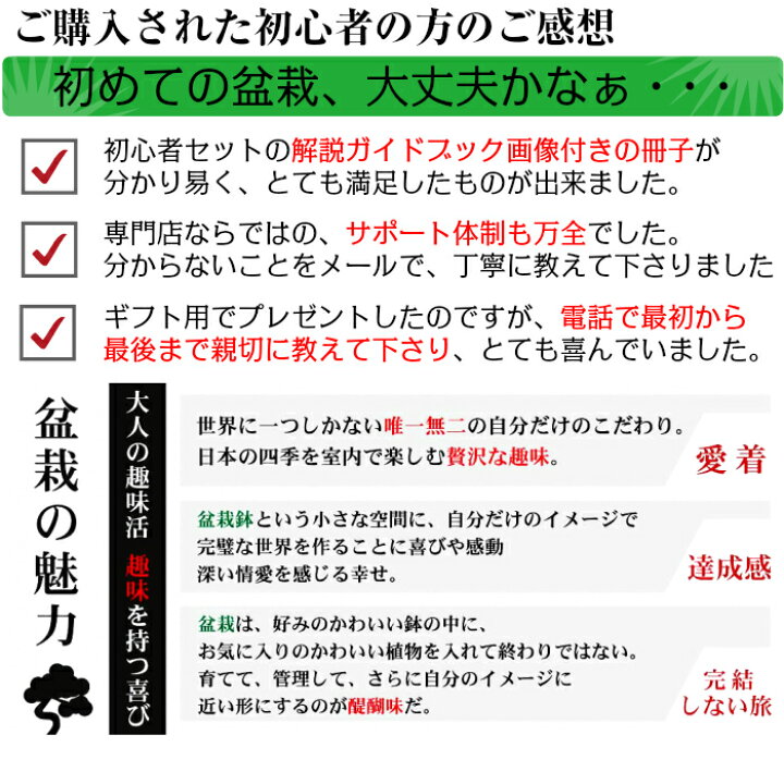 楽天市場 盆栽 松 梅 初心者 入門 セット お手軽 安心 信頼 初めての盆栽人気の 黒松 長寿梅 こだわり豪華10点セット盆栽 初心者 おしゃれ 室内 誕生日 プレゼント 母 父 趣味 プレゼント 癒し 植物 盆栽キット 松 盆栽 ギフト 花心盆栽 楽天市場店 楽天市場 盆栽 松 梅 初心者 入門 セット お手軽 安心 信頼 初めての盆栽人気の 黒松 長寿梅 こだわり豪華10点セット盆栽 初心者 おしゃれ 室内 誕生日 プレゼント 母 父 趣味 プレゼント 癒し 植物 盆栽キット 松 盆栽 ギフト 花心盆栽 楽天市場店