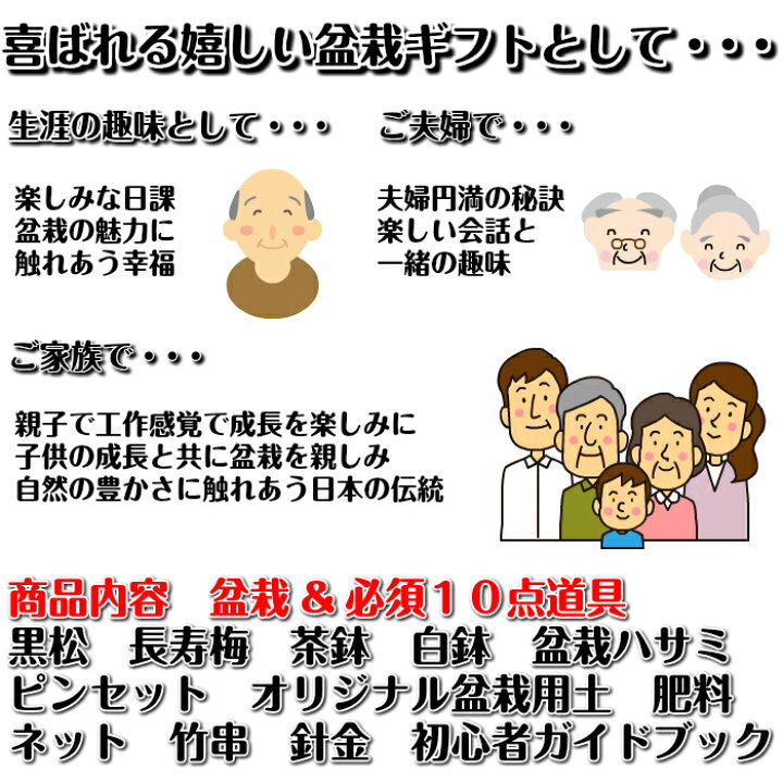 楽天市場 盆栽 松 梅 初心者 入門 セット お手軽 安心 信頼 初めての盆栽人気の 黒松 長寿梅 こだわり豪華10点セット盆栽 初心者 おしゃれ 室内 誕生日 プレゼント 母 父 趣味 プレゼント 癒し 植物 盆栽キット 松 盆栽 ギフト 花心盆栽 楽天市場店 楽天市場 盆栽 松 梅 初心者 入門 セット お手軽 安心 信頼 初めての盆栽人気の 黒松 長寿梅 こだわり豪華10点セット盆栽 初心者 おしゃれ 室内 誕生日 プレゼント 母 父 趣味 プレゼント 癒し 植物 盆栽キット 松 盆栽 ギフト 花心盆栽 楽天市場店