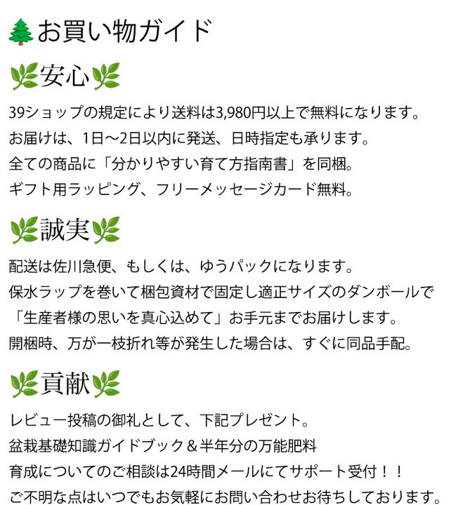 楽天市場】母の日 盆栽 姫りんご 育てる楽しみ お家で鑑賞 樹齢5年 