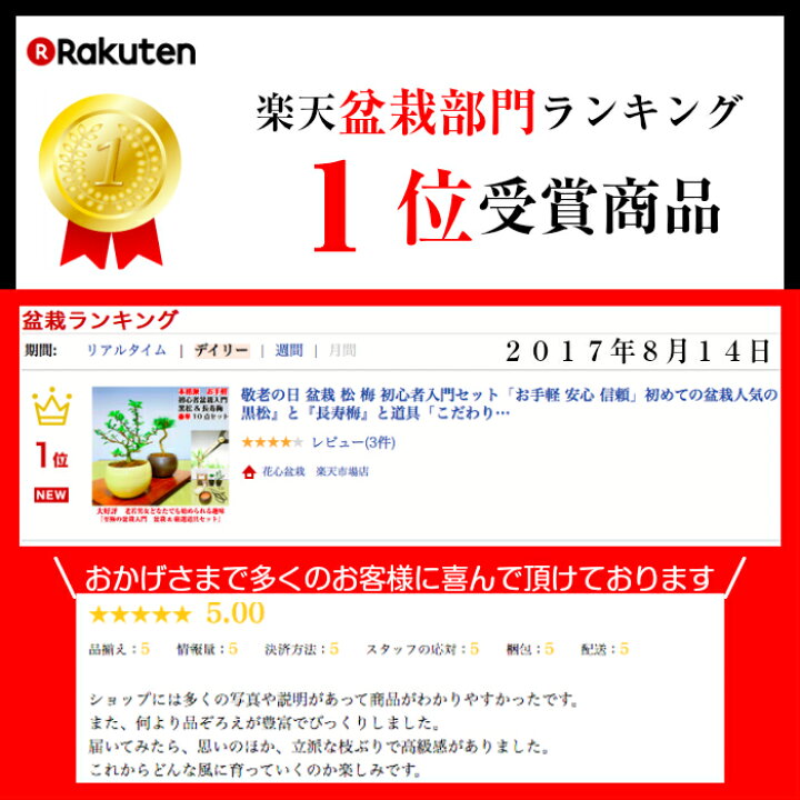 楽天市場 盆栽 松 梅 初心者 入門 セット お手軽 安心 信頼 初めての盆栽人気の 黒松 長寿梅 こだわり豪華10点セット盆栽 初心者 おしゃれ 室内 誕生日 プレゼント 母 父 趣味 プレゼント 癒し 植物 盆栽キット 松 盆栽 ギフト 花心盆栽 楽天市場店 楽天市場 盆栽 松 梅 初心者 入門 セット お手軽 安心 信頼 初めての盆栽人気の 黒松 長寿梅 こだわり豪華10点セット盆栽 初心者 おしゃれ 室内 誕生日 プレゼント 母 父 趣味 プレゼント 癒し 植物 盆栽キット 松 盆栽 ギフト 花心盆栽 楽天市場店