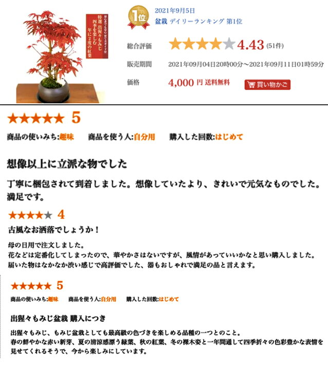 楽天市場 母の日 盆栽 ギフト もみじ 盆栽 枝振りの良い樹形 極美葉 出猩々もみじ ミニ盆栽 小品盆栽年に2度の紅葉を鑑賞 盆栽 ミニ 観葉植物 誕生日 プレゼント 記念樹 ギフト 花心盆栽 楽天市場店 楽天市場 母の日 盆栽 ギフト もみじ 盆栽 枝振りの良い樹形 極美葉 出猩々もみじ ミニ盆栽 小品盆栽年に2度の紅葉を鑑賞 盆栽 ミニ 観葉植物 誕生日 プレゼント 記念樹 ギフト 花心盆栽 楽天市場店