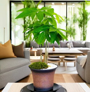 pL A N̗ǂA ~jϗt 琬 ϗtA S҈Sϗt  S   j v[g hV̓ Mtg CeA