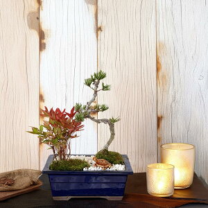 ~ V  叼 F NF 񂹐Ay~  V ~j  e[u叼 S ~ Mtg t[Mtg a җ z ̓ v[gz