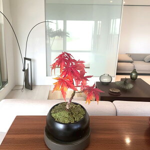 �~�� �R���݂� �g�t ����͂��݂� ���N�� �������ߍg�t �y�V1�ʎ�� �~�j�~�� �~�j�~�� ���{�뉀 �ۃ��E���y���݂� �~�� ���S�� ���� �a���� �v���[���g �җ�j �t�����[�M�t�g �������� ��