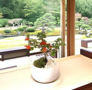 �~�� �~ �����~ ���N�����F�� ��ĂĊy���߂��Ԃ̖~�� �l�G�� ���i�~�� �y�V1�ʎ�� ���N�� � �M�t�g �������b�s���O�y�~�� ���� �~�j ���S�� ���̓� ��̓� �җ�j�� ���� �A�� �����z