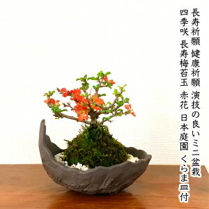~ ۋ ~ ~ o ̒~ ~j~ 3,5 ɏ̖{i~ NƂđlC~ ~j~ җ   S zj a Mtg ̓ ̓ v
