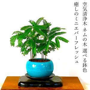 Go[tbV A ~j~ Iׂ锫F Y ~jϗt ~jϗt S A  CeAO[ t[Mtg v[g