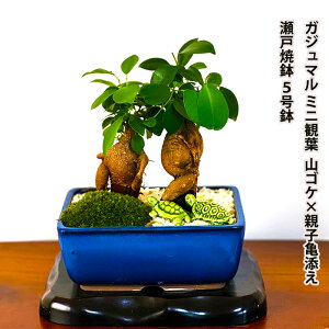 KW} K̖ K̖ ~jϗt ɏ鎺ŊyފϗtA Wv[gsK^t^RpNgϗt lC Mtg CeAO[yV{c[ a 