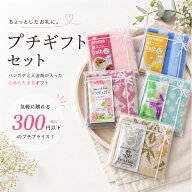 退職 お礼 プチギフト 250円 ラッピング済 タオル ハンカチ 入浴剤 ギフトセット お返し 安い 誕生日 個…