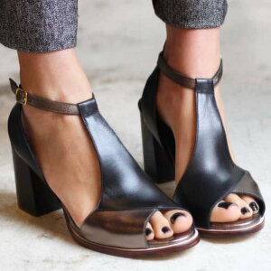 T_ fB[X t nCq[ t@bV I[vgD obN ƕt 傫TCY S v ubN JWA ig gh ₷ 芴