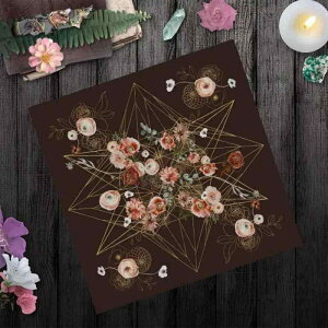 ^bgNX e[uNX k [Y Ђ`͗l |GXe ` 肢p ґzp  fR[V CeA FWJ z}bg ~