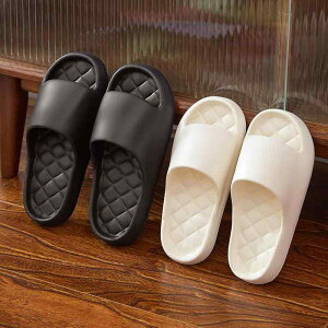 Xbp jp EVA  ~ oXT_ NbV  KȗSn y  [V[Y  x_ O ItBX T_ ʋC  t   s