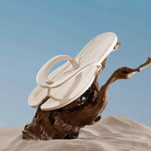 T_ jp Jbv yA jZbNX ܂肽 r[`T_ gOT_ y ~ EVAf s ze oX[ V[p ig t zCg ubN s