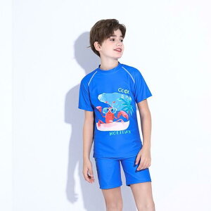  j̎q WjA XCEFA XCpc Zbg jpc w 傫TCY TCY iC |GXe ΐF Lk  Op^ v[ r[` W[