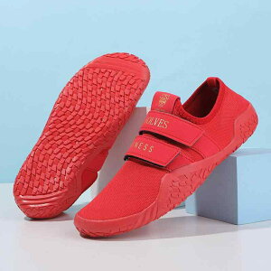 }V[Y jZbNX jp p xAtbg f ~ mXbv ϖ ی  ANA _CrO Vm[PO XC~O o T[tB r[`